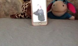 娱乐吃瓜小羊