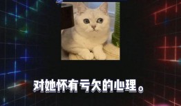 娱乐吃瓜最新一期,揭秘最新一期热点事件，明星幕后故事大揭秘！